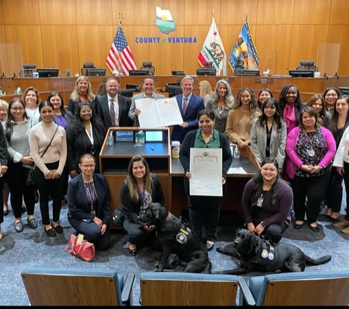 Coalition staff, county leaders, and courthouse facility dogs at a recognition ceremony